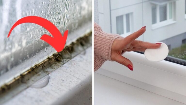 Dieser einfache Trick verwandelt deine Fenster und hält Schimmel für immer fern…
