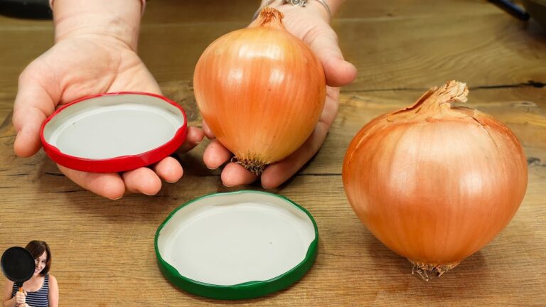 5 geniale Tipps für köstliche Zwiebelgerichte, die du lieben wirst!