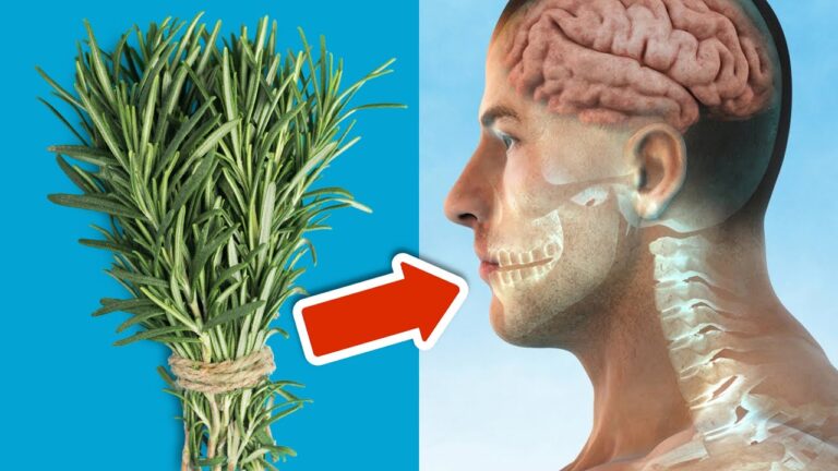 Täglicher Rosmarin: 7 unglaubliche Vorteile für Körper und Geist entdecken!