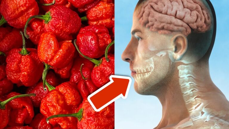 Was passiert mit deinem Körper nach 1 Carolina Reaper? Unglaubliche Fakten!