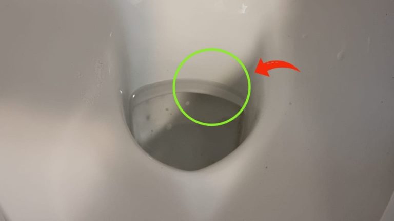 So entfernen Sie lästige Kalkringe in der Toilette effizient