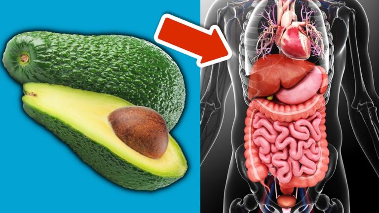 7 erstaunliche Vorteile von Avocados: Was täglich Essen bewirken kann!