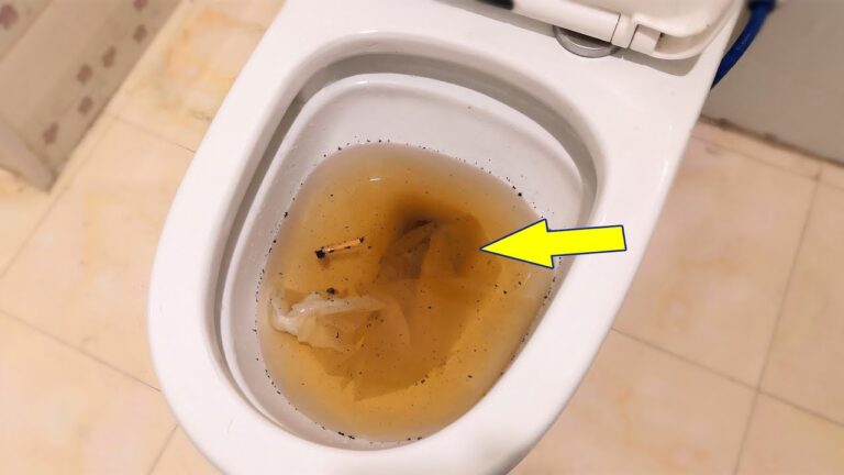 3 Minuten: So befreist du dein WC kostenlos und effektiv von der Verstopfung!