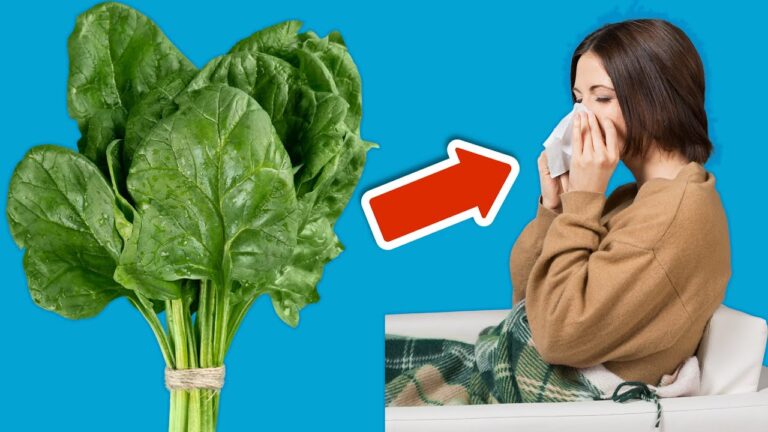 Steigere dein Immunsystem mit diesen 6 Lebensmitteln für ein gesundes Leben!
