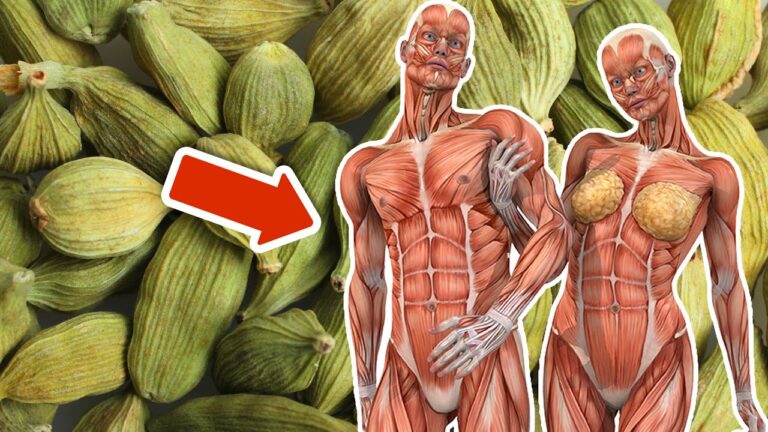 7 unglaubliche Vorteile von Kardamom für deinen Körper jeden Tag entdecken!