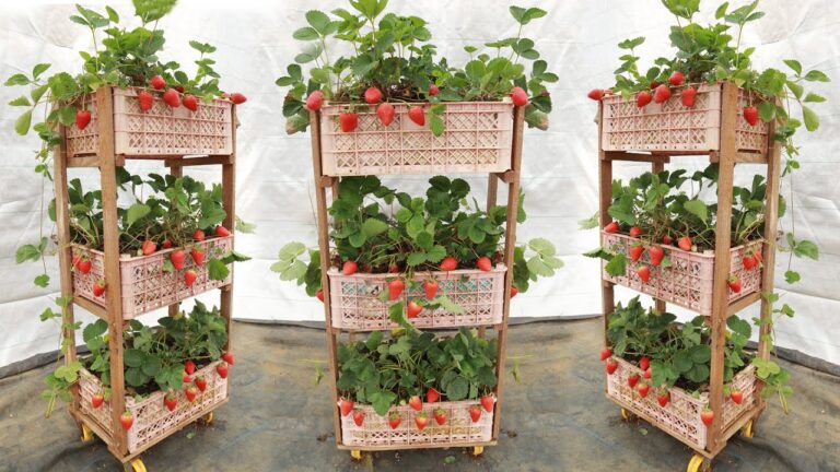 5 einfache Schritte für deinen vertikalen Erdbeer-Garten aus einem Plastikkorb zuhause