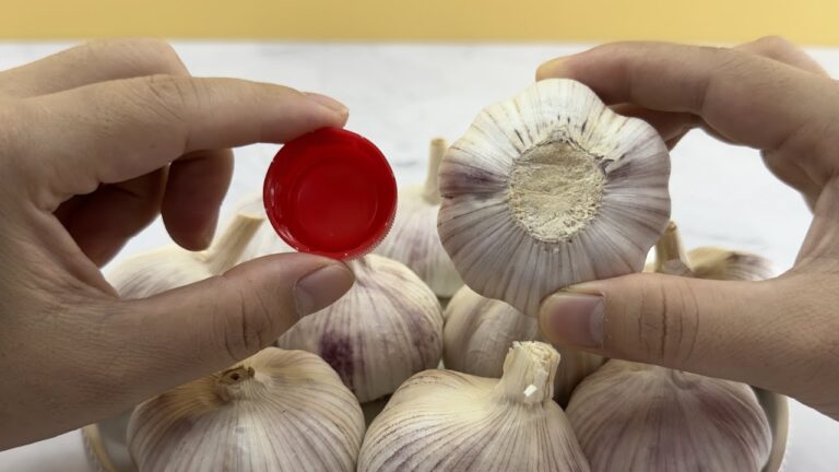 5 Geheimtipps mit Knoblauch: 20 Zehen in 20 Sekunden schälen!