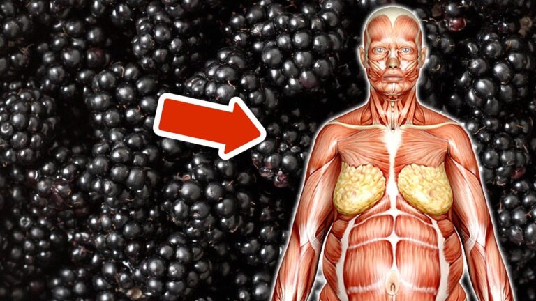 Jeden Tag 1 Tasse Brombeeren: 5 erstaunliche Vorteile für deine Gesundheit!