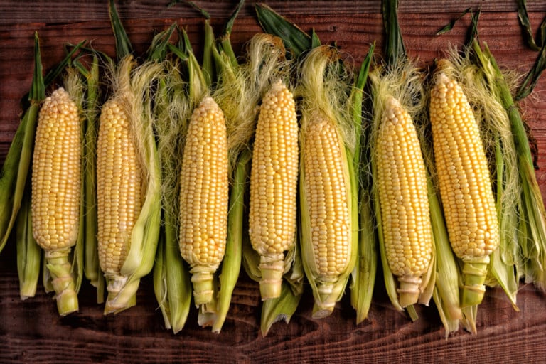 20 kreative und köstliche Rezepte mit süßem Mais, die du ausprobieren musst
