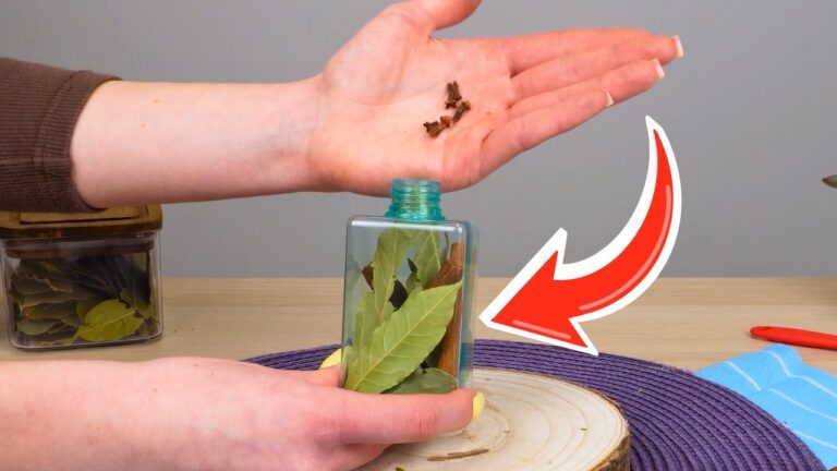 Ab ins Glas und aufgießen! In ein paar Stunden wirst du dir selbst danken