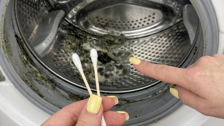 Kaum jemand reinigt diese Stelle in der Waschmaschine. Dort sammelt sich jahrelang Schmutz