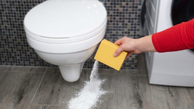 Streu es um die Toilette. Dieser Trick aus 5-Sterne-Hotels wirkt Wunder