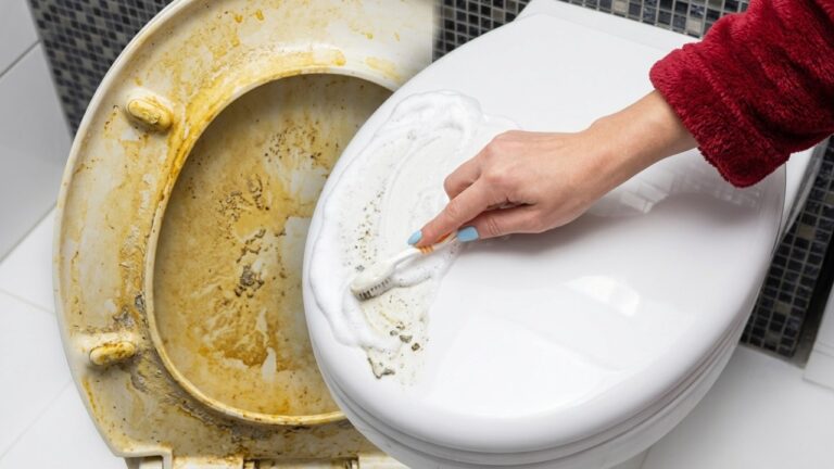 Gelbe Flecken an der Toilette verschwinden in Sekunden! Nur 1 Trick für ein glänzendes Bad
