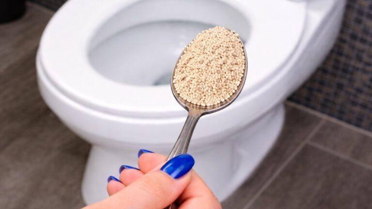 Seit ich das über Nacht ins WC gieße, brauche ich keinen Klempner