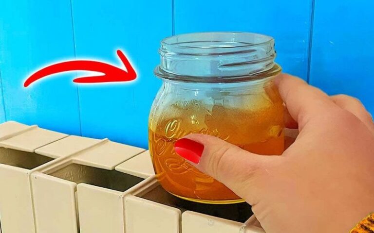 So beduftest du dein ganzes Zuhause mit einem Glas auf dem Heizkörper!